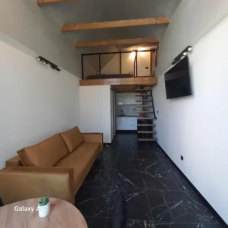 Daire Z Prywatna Sauna Lub Antresola